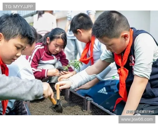 成都攀岩队节奏对比分析揭示训练与比赛的深层关系