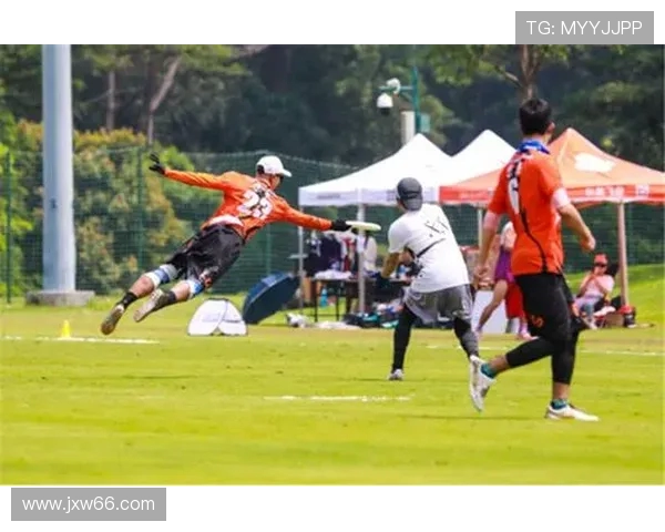 深圳飞盘队节奏对比深度解析与战术探讨