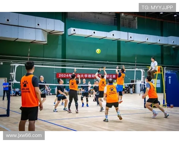 成都排球队在全国排球团队协作排行榜中荣获第五名的佳绩