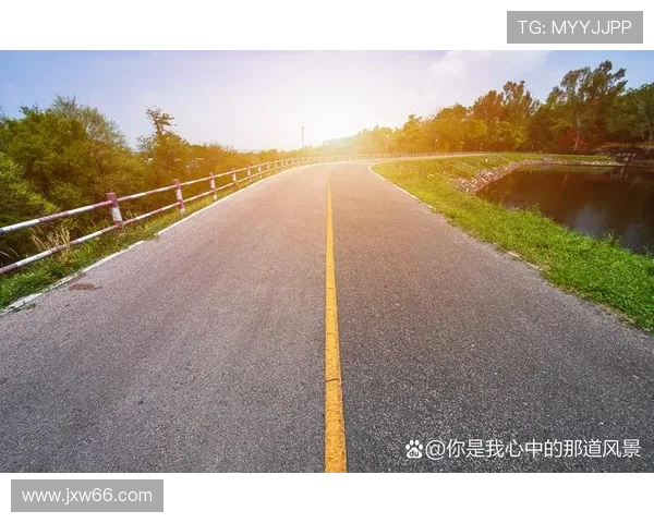 极限运动传奇杨强的挑战与坚持之路回顾